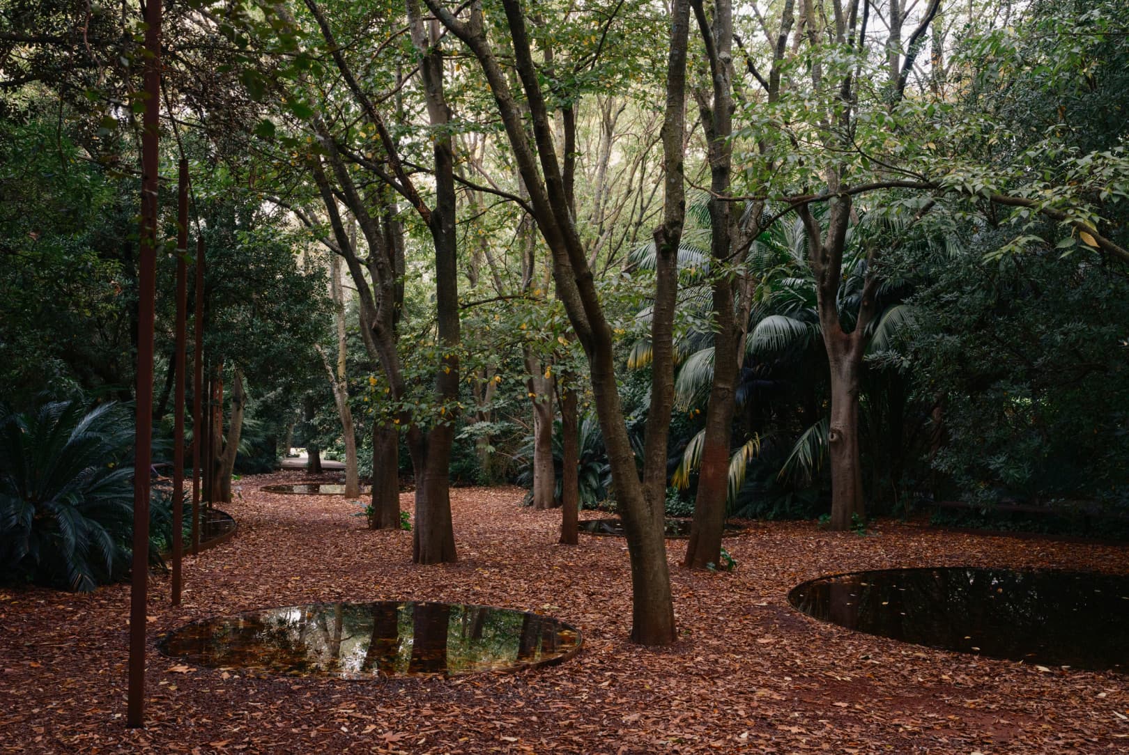 agobay-0036-MT-gulbenkian-39 agobay-0036-MT-gulbenkian-39