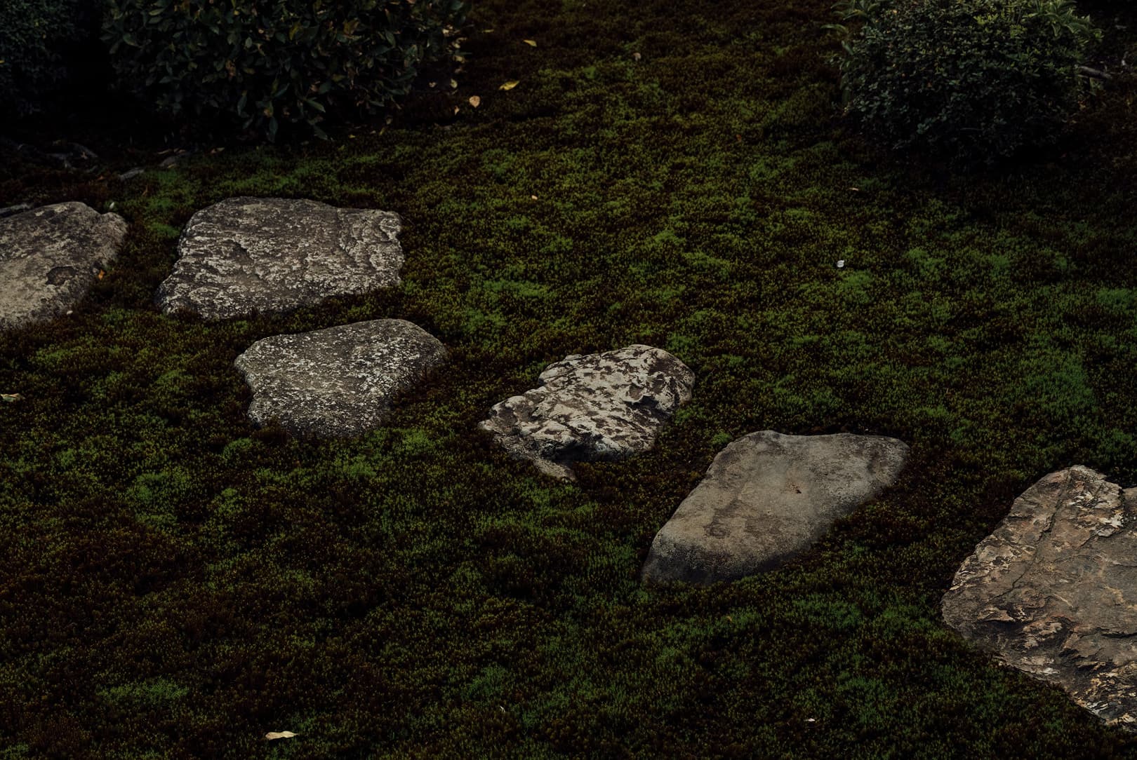 agobay 0042 mt zazen-meditation-109 agobay 0042 mt zazen-meditation-109