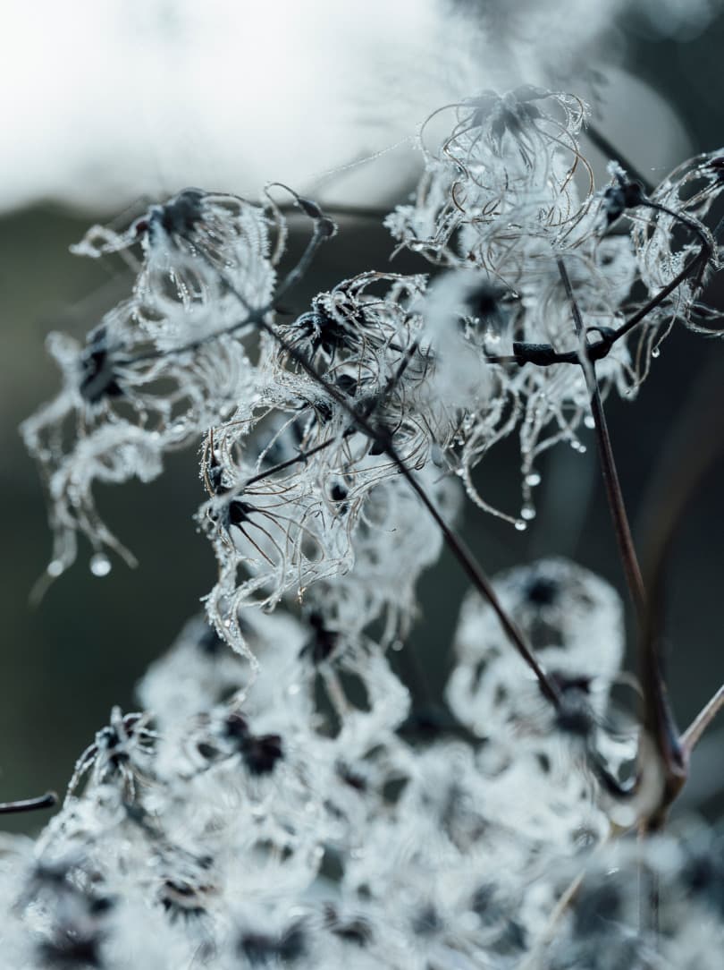 agobay MT 022 manna-35 agobay MT 022 manna-35