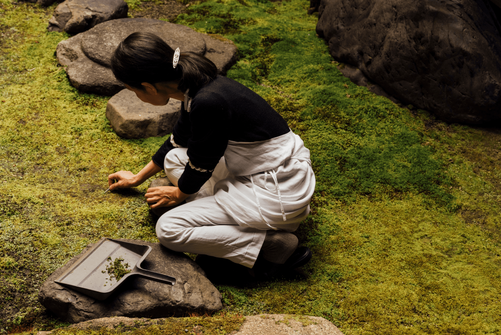 teaser landscape agobay-MT-0040-hatake-146 teaser landscape agobay-MT-0040-hatake-146