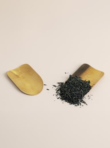 Tea scoop, large