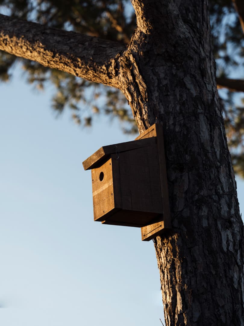 agobay MT 019 pateos-106 agobay MT 019 pateos-106