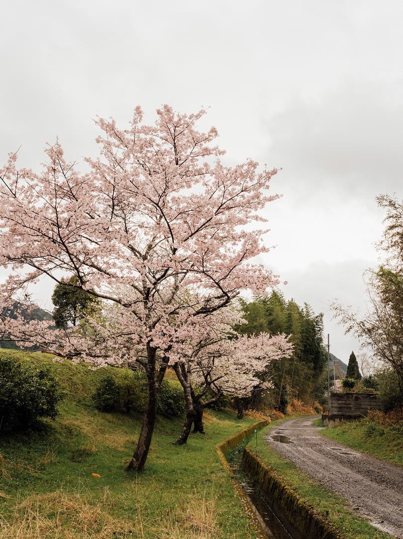 agobay 0042 mt zazen-meditation-9 agobay 0042 mt zazen-meditation-9