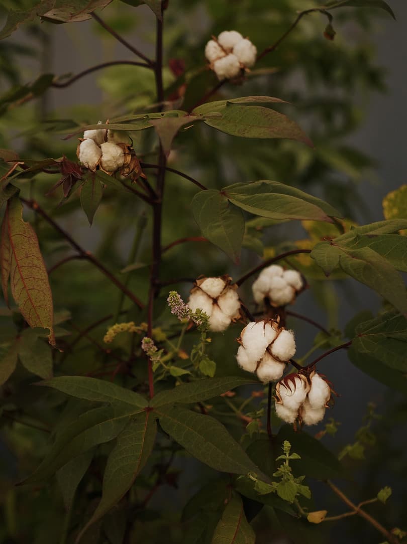 agobay AG 0045 niwa-futon 097 agobay AG 0045 niwa-futon 097