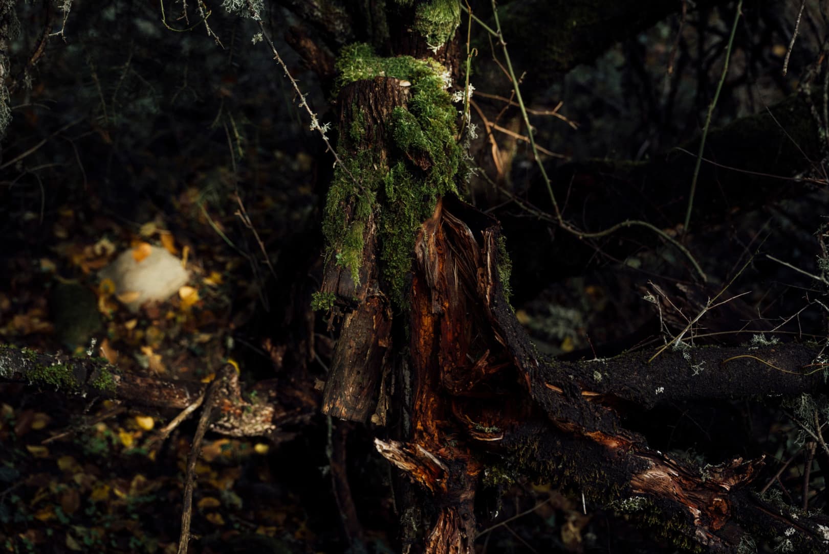 agobay MT 022 manna-30 agobay MT 022 manna-30