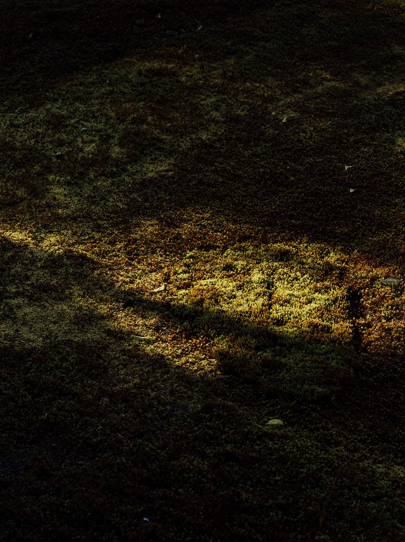 agobay 0042 mt zazen-meditation-155 agobay 0042 mt zazen-meditation-155