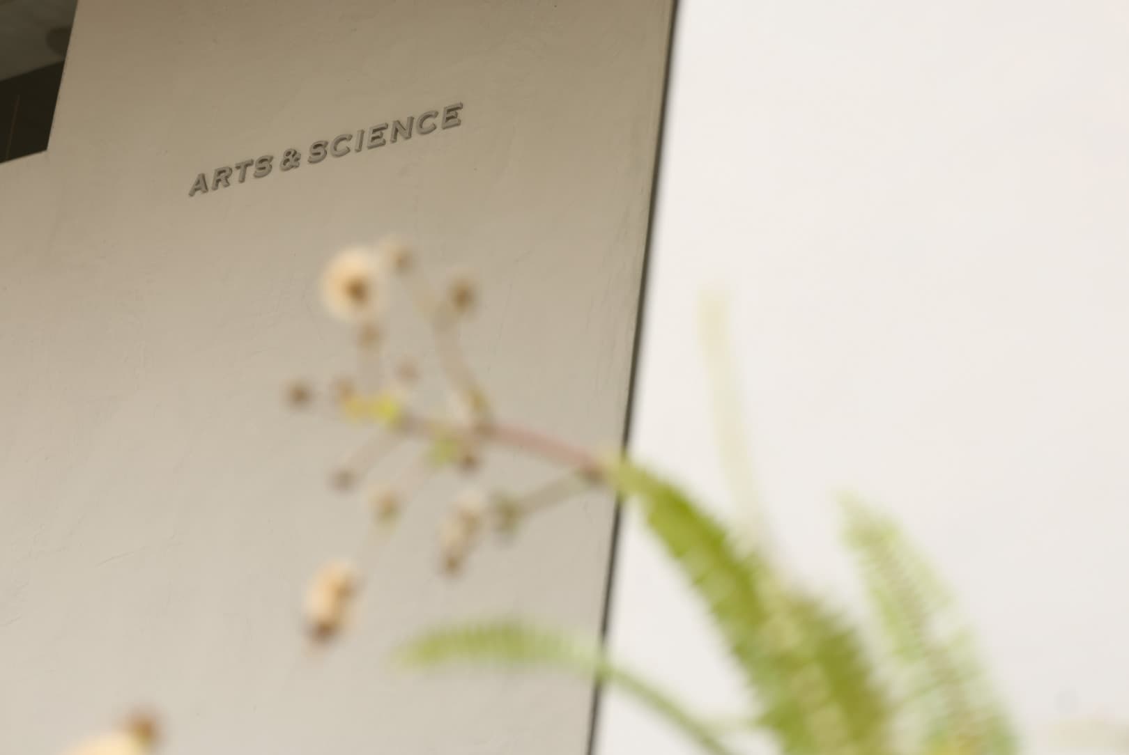 agobay NS 004 arts-&-science daikanyama 2L0A6566 agobay NS 004 arts-&-science daikanyama 2L0A6566