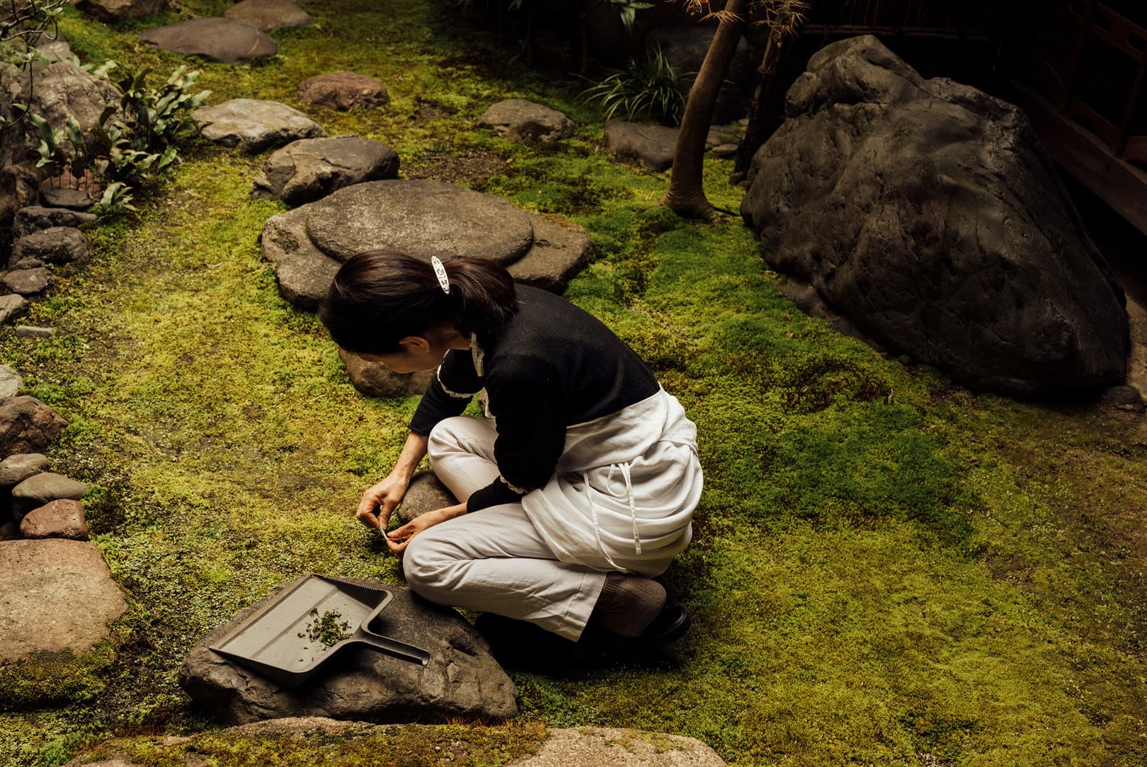 agobay-MT-0040-hatake-68 agobay-MT-0040-hatake-68