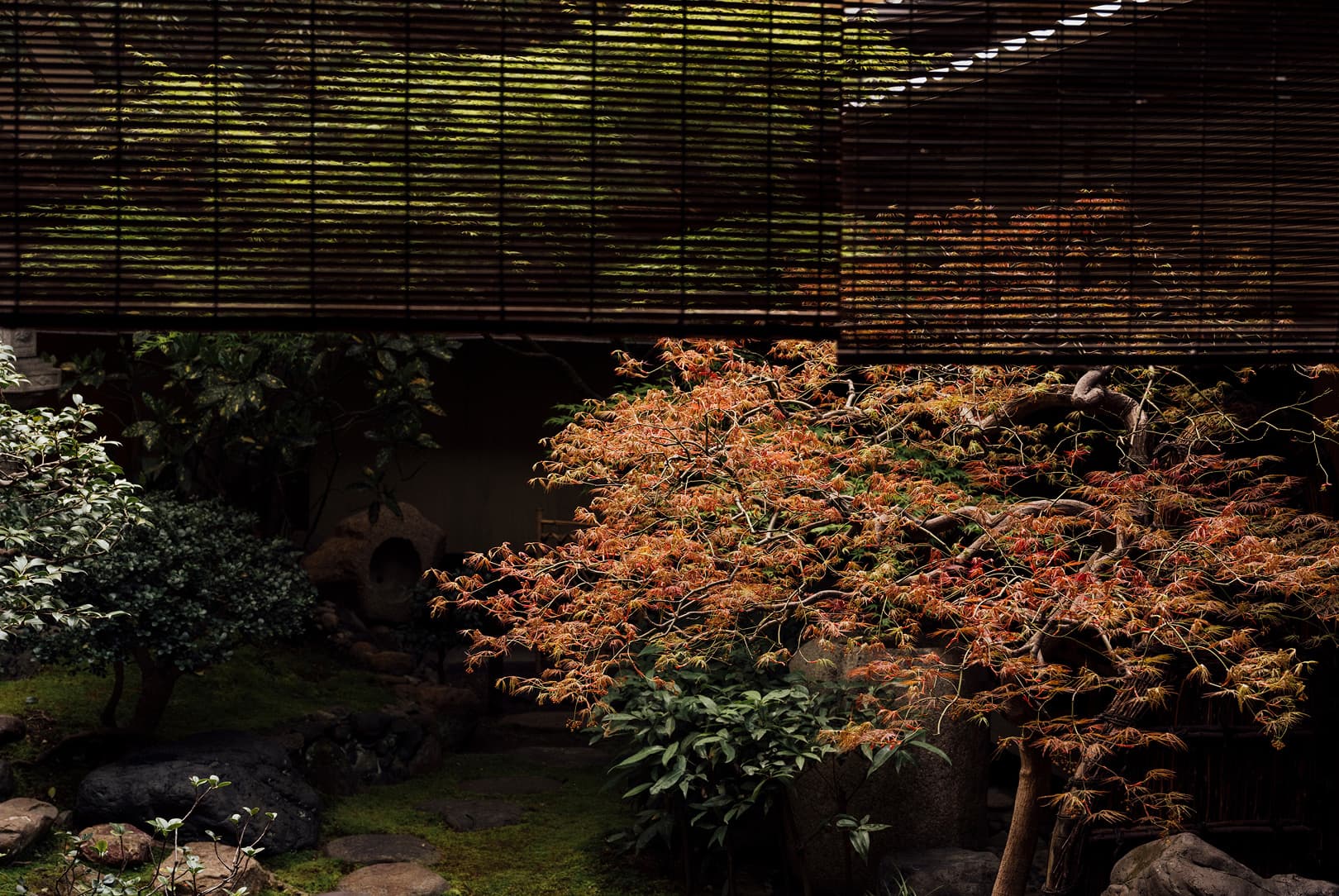 agobay-MT-0040-hatake-147 agobay-MT-0040-hatake-147